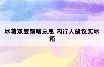 冰箱双变频啥意思 内行人建议买冰箱